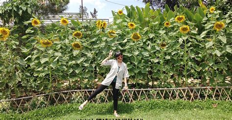 Hal ini bertujuan agar kita dapat berkomunikasi dengan penutur bahasa jepang lainnya. Jendela alam 3in1 Alam, tumbuhan, hewan | List of Happiness