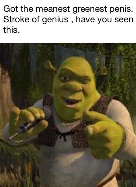 Whenever Someone Says Anything Bad About Shrek Or Shrek Memes R