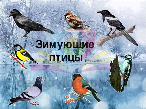 Сколько двигаться и сколько спать дошкольнику (по материалам всемирной организации здравоохранения)? Рекомендации родителям дошкольников по лексической теме ...