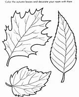 Coloring Oak Leaf Pages Leaves Getcolorings Printable Color sketch template