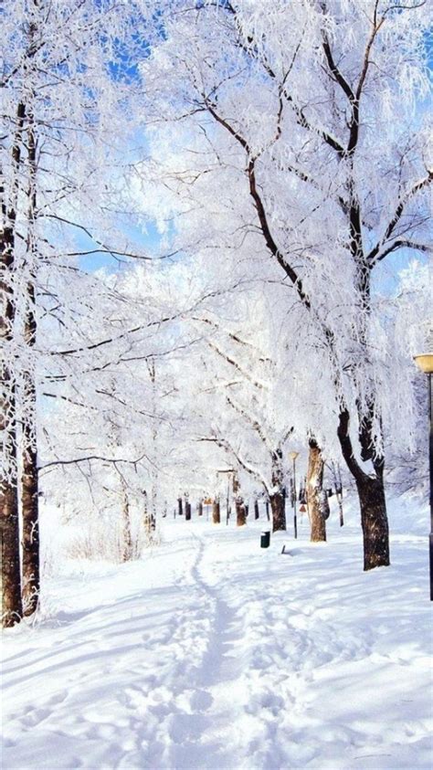 Download 61 Aesthetic Winter Wallpaper Iphone Gambar Download Postsid
