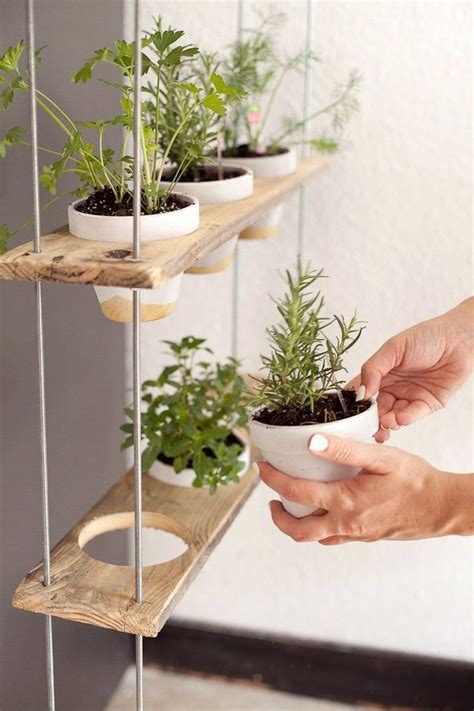 Small Kitchen Herb Garden Ideas Garden Design
