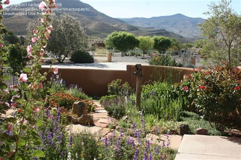 Gardening In New Mexico Garden Design Ideas