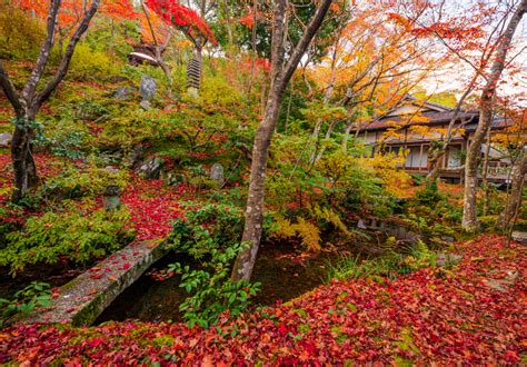 2 Day Kyoto Japan Fall Colors Itinerary Travel Caffeine