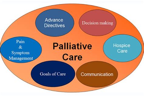 Palliative Care Expands In Northern Colorado Uchealth Today