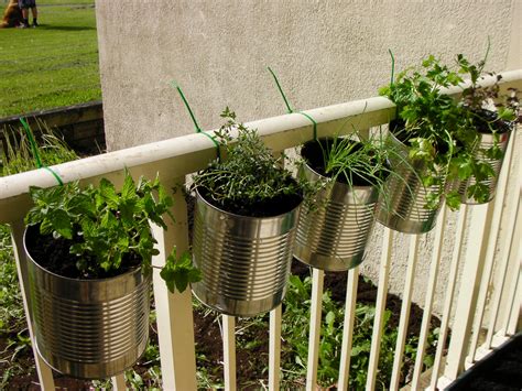 Diy Indoor Herbs Garden Ideas