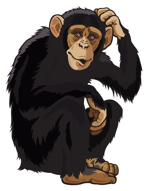 Monkey Png Clipart Image Самые милые животные Дикие животные Обезьяна