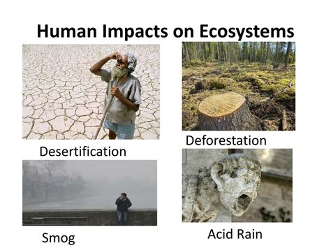 Ppt Chapter 6 Humans In The Biosphere Powerpoint Presentation Free