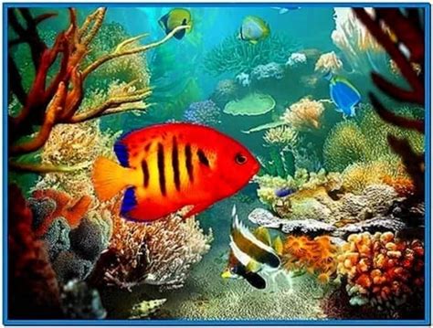 Tropical Fish 3d Screensaver 12 Download Free