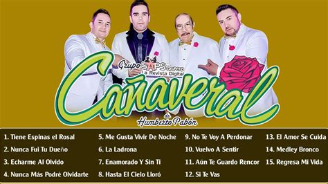 Grupo Cañaveral Las Mejores Canciones De Grupo Cañaveral Álbum De