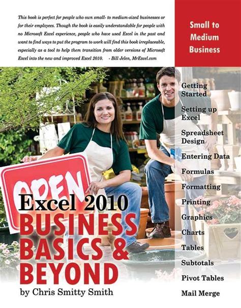 Excel 2010 Business Basics And Beyond Pdf E Book
