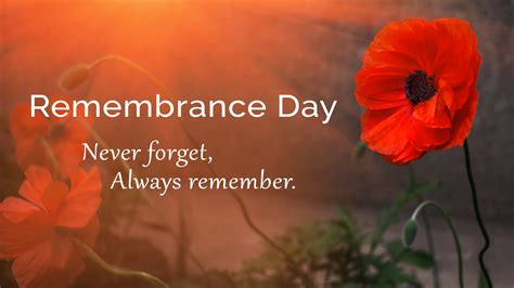 Remembrance Day In Great Britain Blog In2english