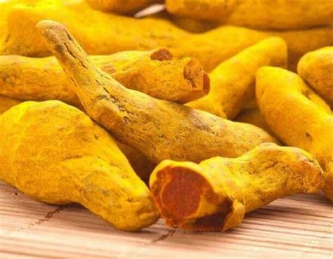 Indian Turmeric Fingers At Rs Kg Dawrpui Aizawl Id