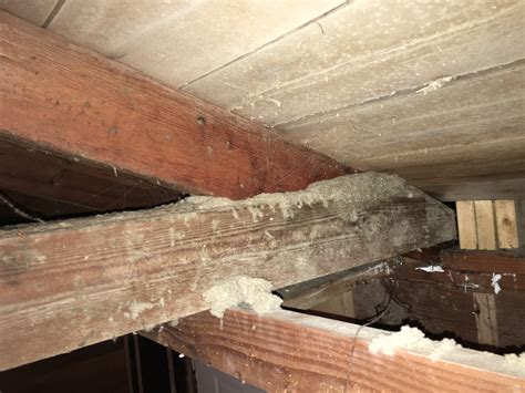 Ceiling Remove Ceiling Joists Without Risking The Integrity Of The