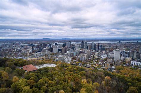 Filemontreal From Above Mont Royal Wikimedia Commons