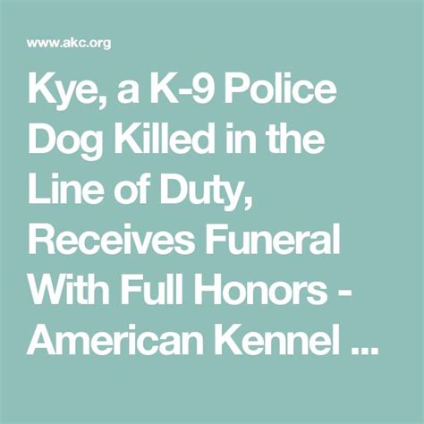 Kye A K 9 Police Dog Killed In The Line Of Duty Receives Funeral With