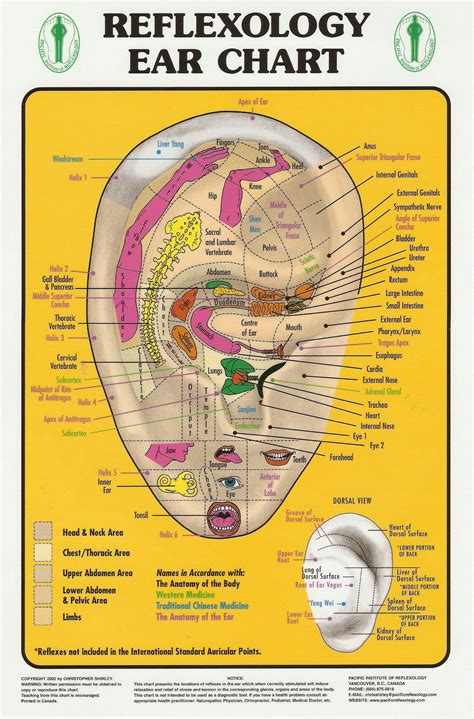 More Ears Reflexology Ear Reflexology Reflexology Chart