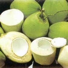 Carried out using different in vitro and in vivo techniques of biological evaluation supports most o f the claims. Vietnamese Coconut (Dua) - Vietnamese Fruits