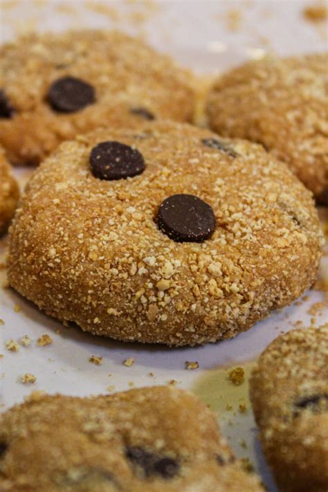 Chocolate Chip Cookie Dough Protein Bites Recipe The Protein Chef