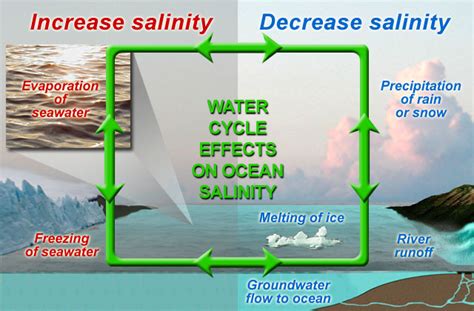 Salinity Levels In The Ocean