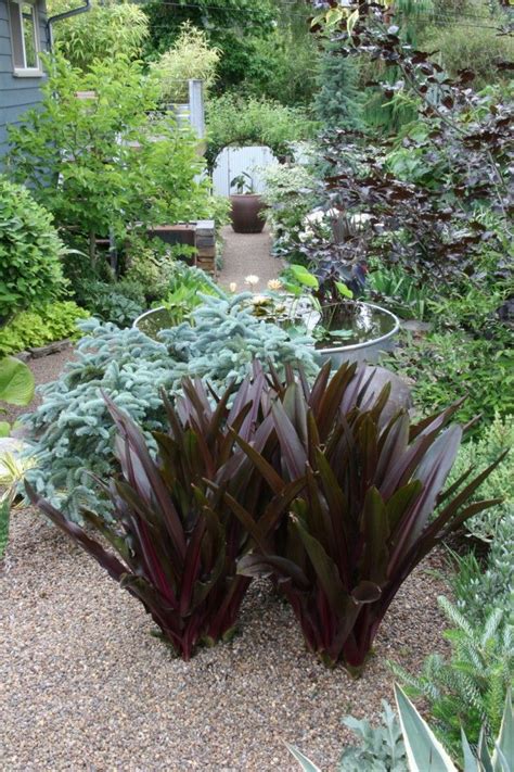 Designing a ranch landscape in arizona. Rehab Diary: A Garden Makeover for a Ranch-Style House in ...
