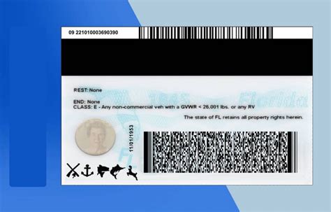 Florida Drivers License Psd Template New Edition Download Photoshop
