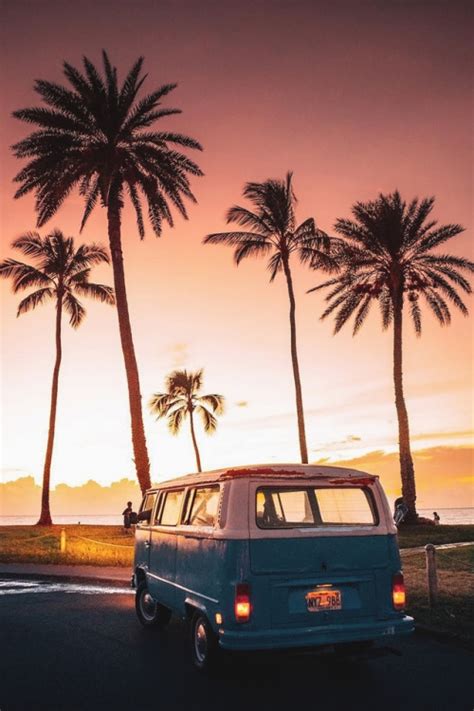 palm trees on Tumblr Summer vibes computer wallpaper aesthetic timothy chalamet hawaii beach.