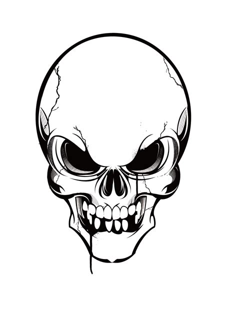 Skull Clip Art Skulls Png Download 12401754 Free Transparent