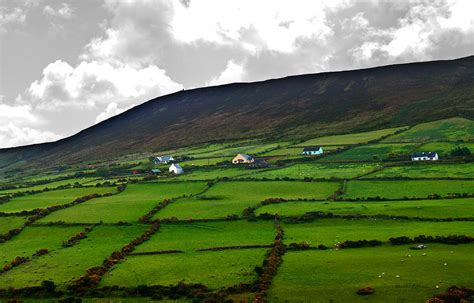 Irish Countryside Photograph By Edward Peterson