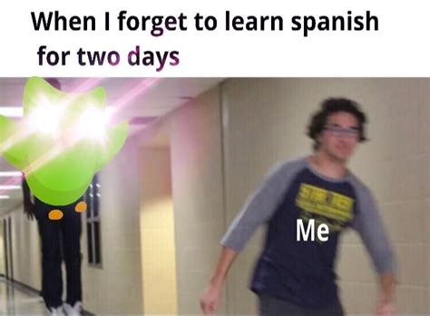 Check spelling or type a new query. Duolingo | Dark humour memes, Funny memes, Memes