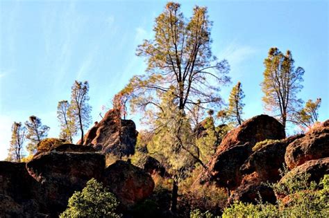 The Ultimate Guide To Pinnacles National Park Rving With Rex