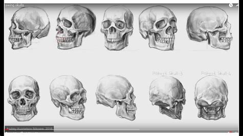 Artstation Drawing Skulls