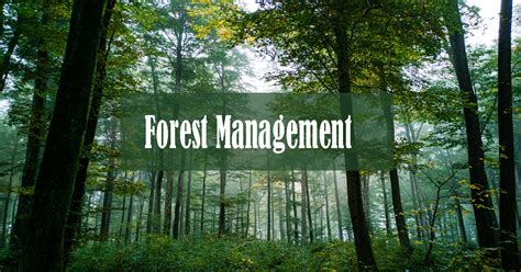 Searching For Various Application Of Gis In Forest Management