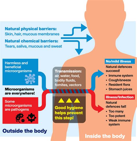 Why is good hygiene so important? - Hygiene for Health