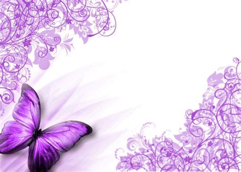 Purple Butterfly Wallpapers Top Free Purple Butterfly Backgrounds