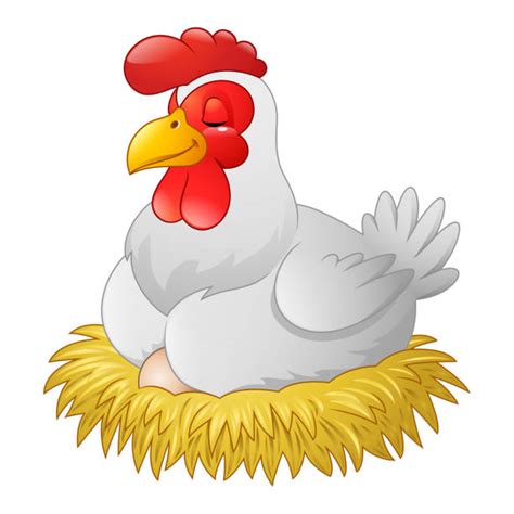 Best Hen Nest Illustrations Royalty Free Vector Graphics And Clip Art
