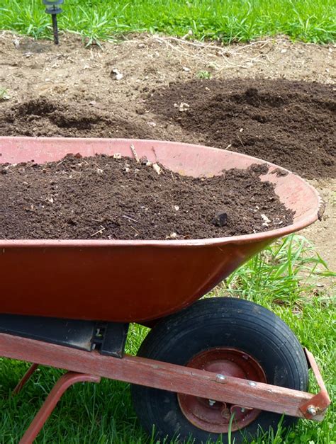 7 Ways To Improve Garden Soil 2022