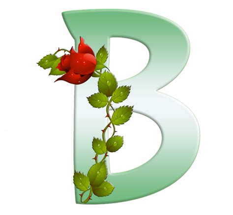 Sussurro De Amor Alfabeto Decorativo Botão De Rosa 137