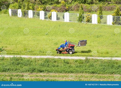 Worker Mowing Grass In City Park Sunny Summer Daymature Man Driving