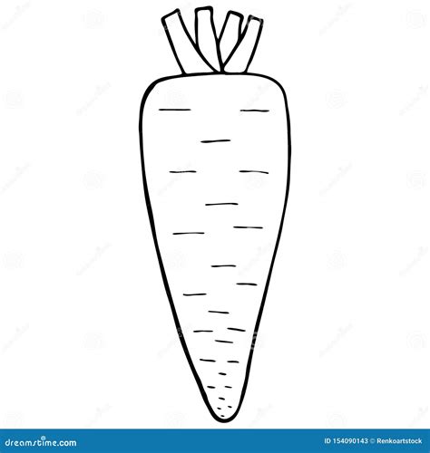 Carrot Line Drawing Of A Carrot Vector Illustration Cartoondealer