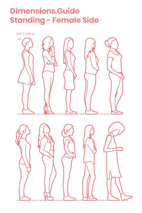 Standing Female Side Drawing People Human Figure Sketches Posture Drawing