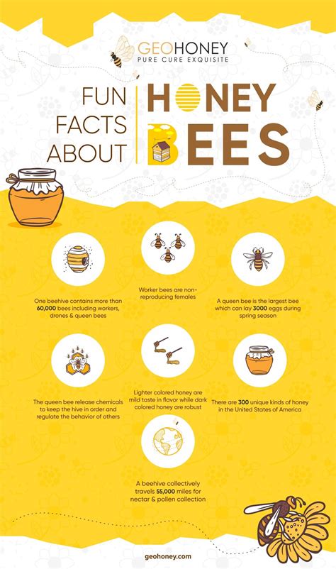 Fun Facts About Honey Bees Honey Bee Facts Bee Facts Bee