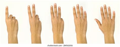 Counting Hands One Five Isolated Over Stock Photo Edit Now 4886785