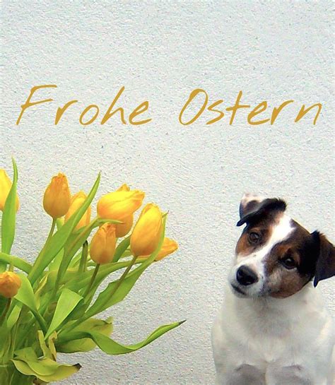 Kein neues auto, aber viel billiger. Kleopatra - Florine v. Danielsgraben
