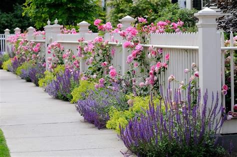 White can be quite a dominant colour. Landscaping with Lavender | 7 Garden Design Ideas