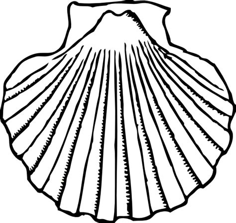 Conch Shell Clip Art Clipart Best