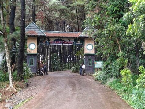 Kawasan lembang bandung merupakan salah satu tujuan wisata yang bisa kamu pilih. Tempat Wisata Alam di Bogor dan Sekitarnya - Tempat Wisata