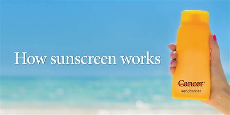 How Sunscreen Works MD Anderson Cancer Center
