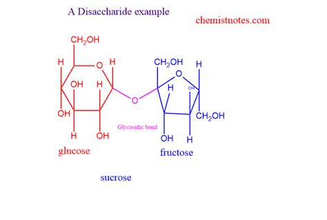 Disaccharides Definition Classification Examples And 4 Reliable Function Chemistry Notes
