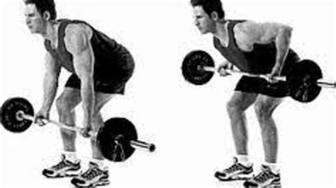 How To Perform Reverse Grip Bent Over Barbell Rows Hirokintore